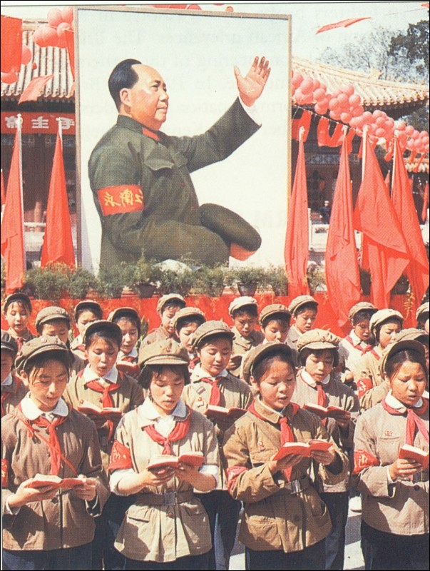 Socialist Party China s Cultural Revolution 1966 67