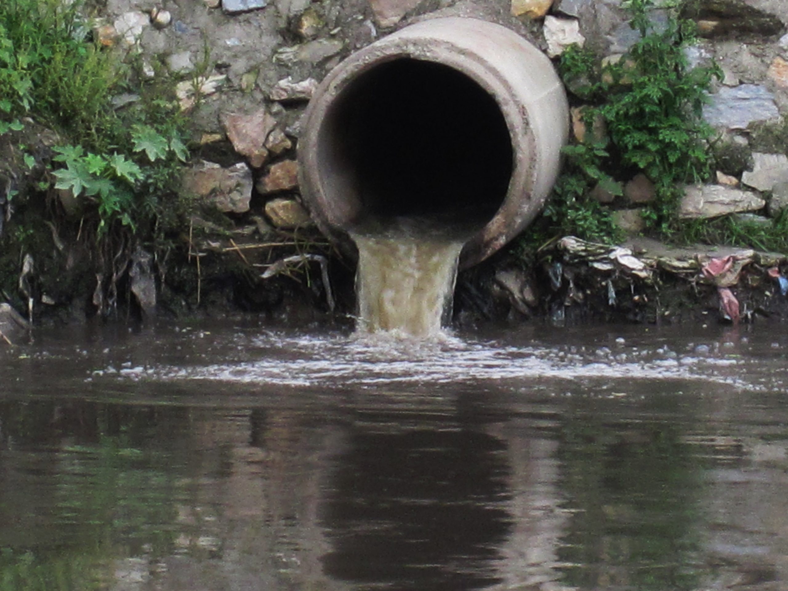 ‘Unlike our water, the solution is clear: nationalise!’ - Socialist Party